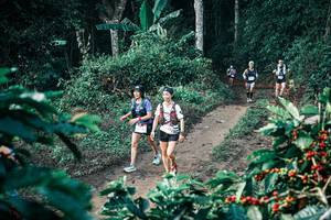 BIB: 
                            <button type="button" onclick="openModal(25793612)" class="btn btn-primary btn-sm float-right btn-popup" data-toggle="modal" data-target=".modal-high-quality">
                        <i class="fas fa-shopping-cart"></i> Add to Cart
                    </button>
                                            <button type="button" onclick="isThisMe(25793612, true)" class="btn btn-success btn-sm float-right btn-popup btn-isme hidden" data-toggle="tooltip" data-placement="bottom" title="นี่คือรูปของคุณใช่ไหม คลิกที่นี่เพื่อเอาเข้าอัลบั้ม">
                        <i class="fas fa-plus"></i> Add to album
                    </button>
                    <button type="button" onclick="isThisMe(25793612, false)" class="btn btn-warning btn-sm float-right btn-popup btn-isnotme hidden">
                        <i class="fas fa-ban"></i> Remove from album
                    </button>